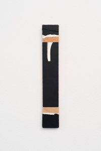 Ian McKeever Against Architecture 39, 2014, 46 x 7cm, oil and acrylic on canvas and wood. Silver gelatine photograph mounted on wood, Photo by David Stjernholm
